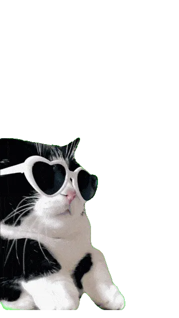 Котик